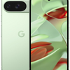 Google Pixel 9 Wintergreen